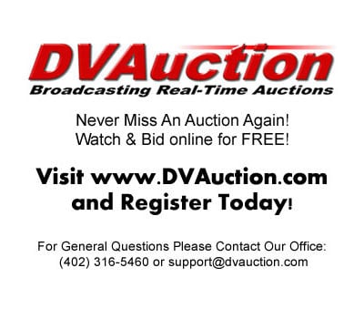 DVAuction