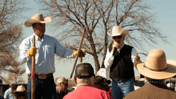 CCI Live Auction Bidding